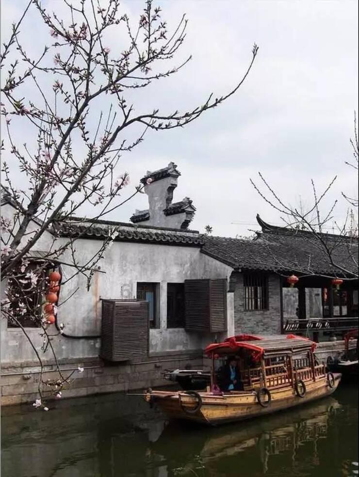 小艾比当营养师